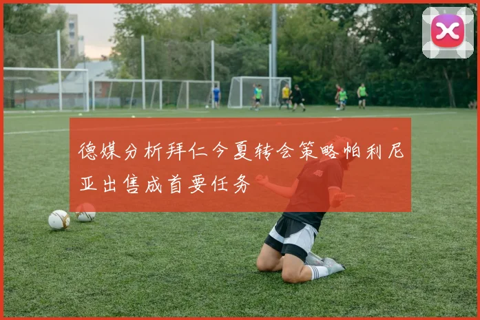 德媒分析拜仁今夏转会策略帕利尼亚出售成首要任务
